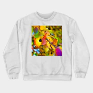 Autumn Accent Crewneck Sweatshirt